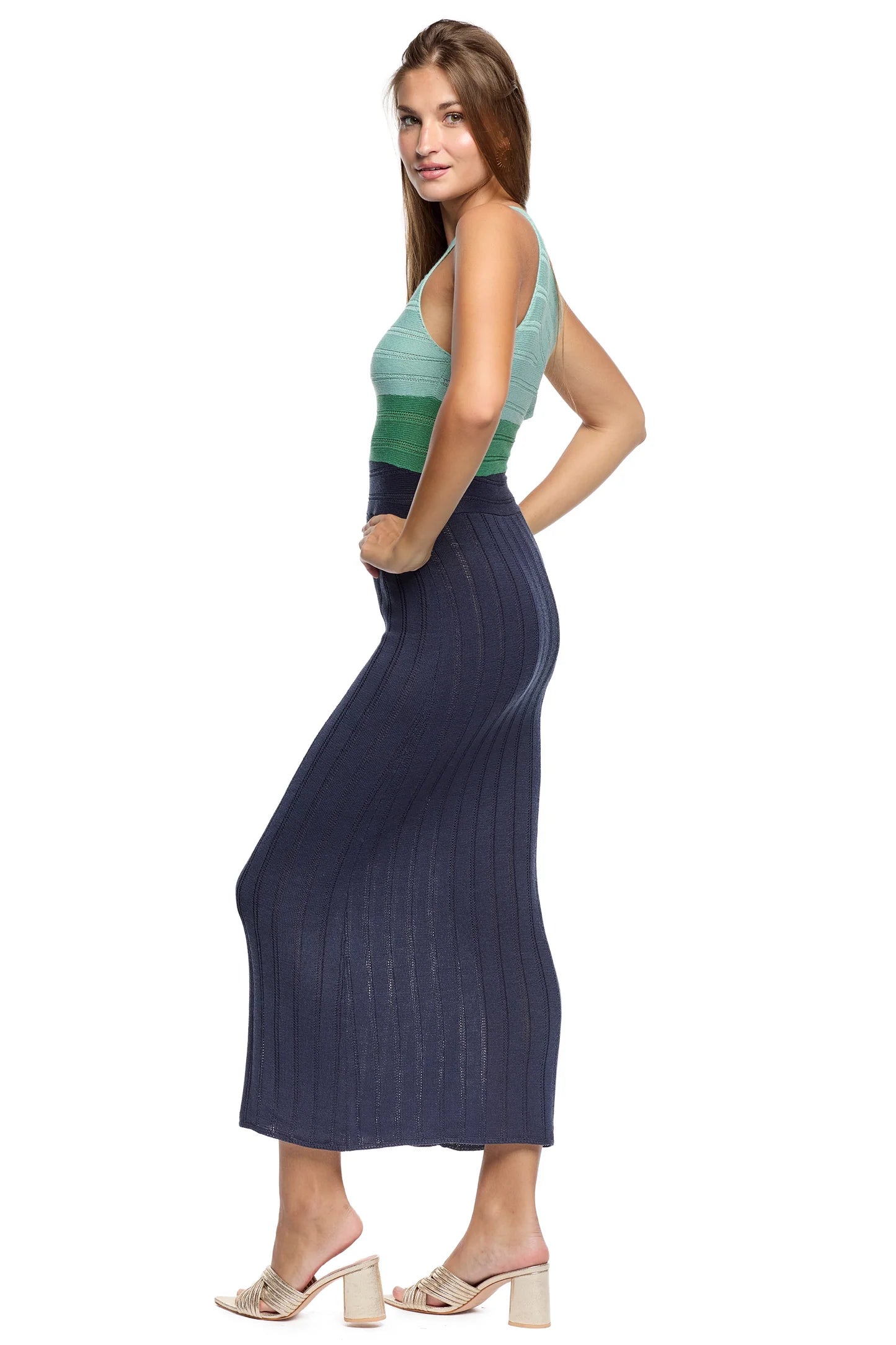 Lauren Colorblock Blue Dress